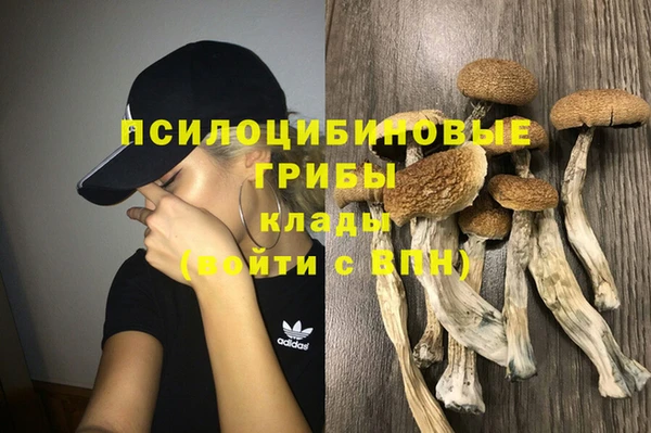 метадон Алексеевка