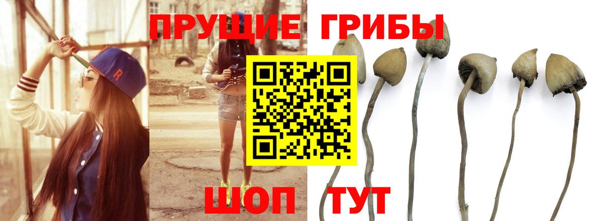 Кропоткин  Галлюциногенные грибы MAGIC MUSHROOMS  Псилоцибиновые грибы MAGIC MUSHROOMS  где купить наркотик  Вход с VPN 
